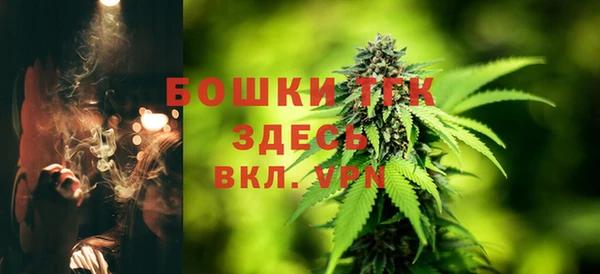 мет Елабуга