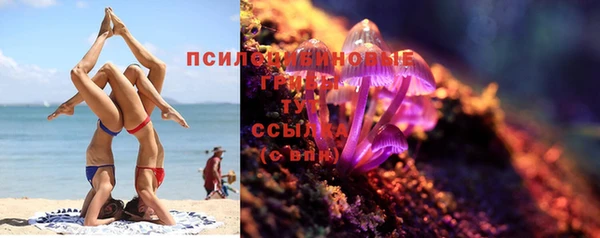 mdma Елизово