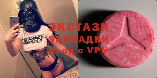 молекула духа Ельня