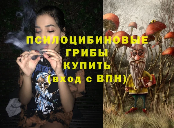 молекула духа Ельня