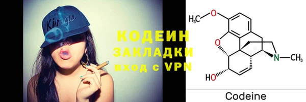 мет Елабуга