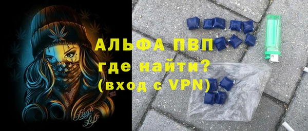 молекула духа Ельня