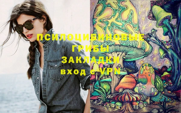 мет Елабуга