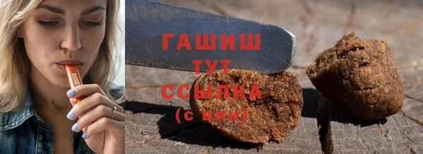 молекула духа Ельня
