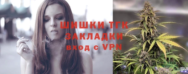 мет Елабуга